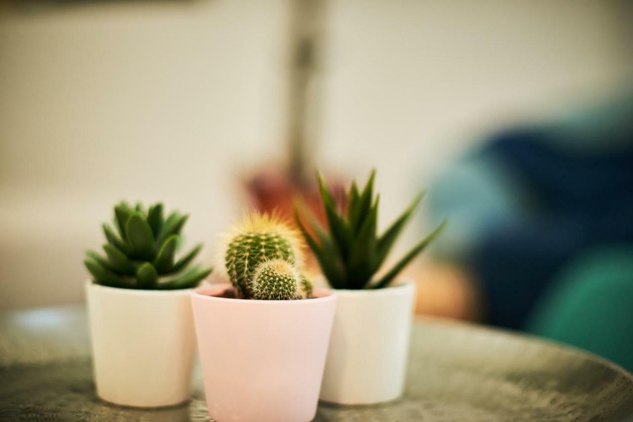 Appartamento Self Check-In Cozy Stylish Flat By Vaci Street Budapest Esterno foto